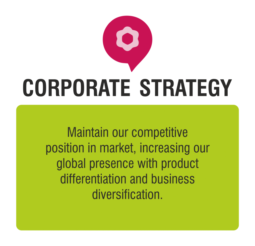 Corporate strategy statement